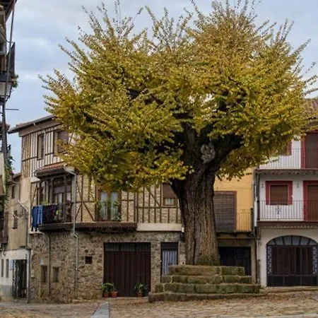El Viejo Olmo Villa Herguijuela de la Sierra Exterior photo
