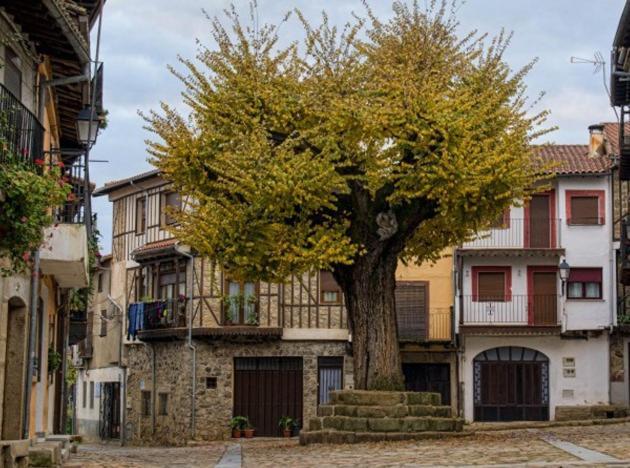 El Viejo Olmo Ferienhaus *